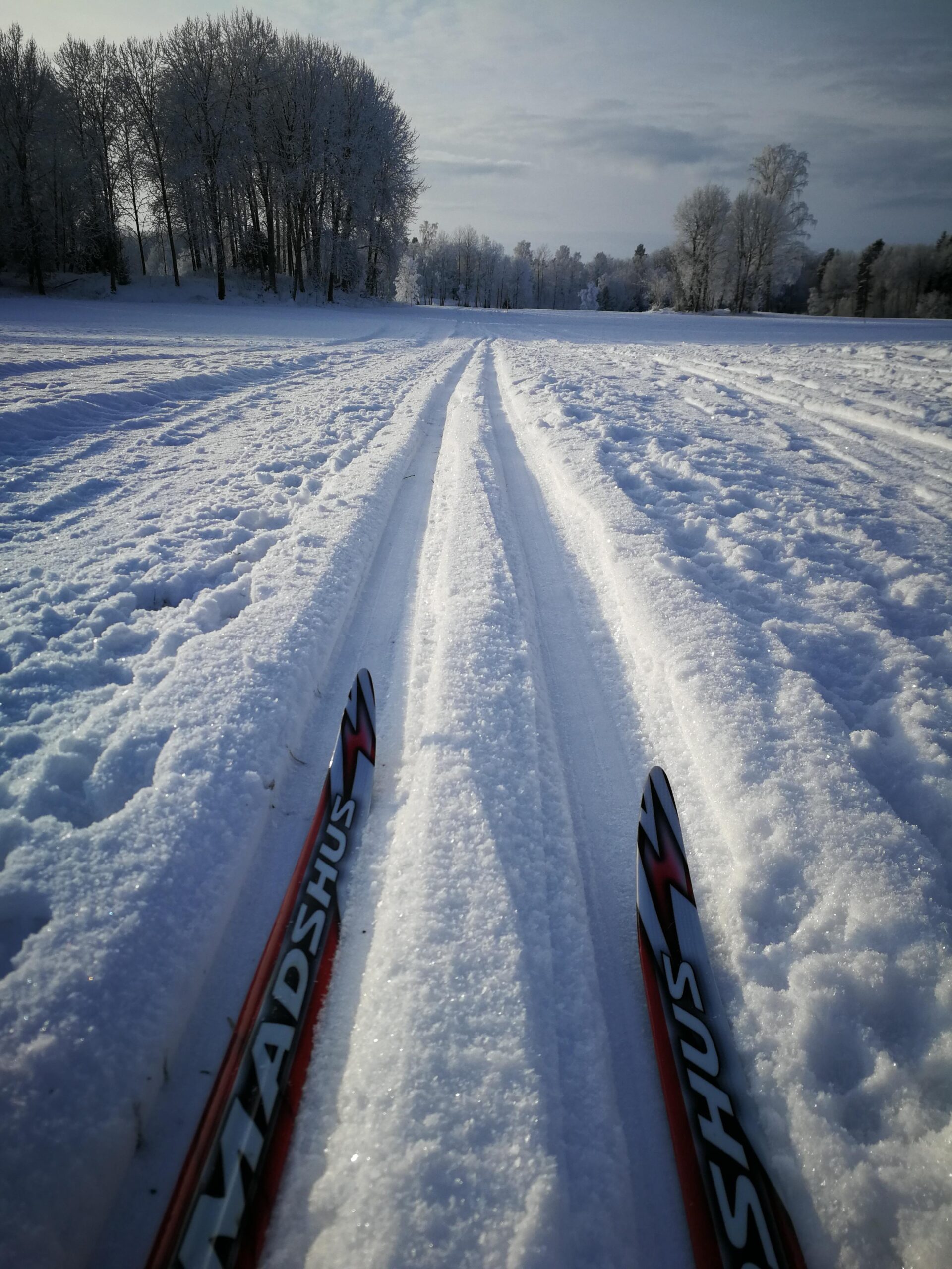 Digital strategi som tydlig riktning framåt – skidspår i vinterlandskap. Foto: Maria Helgars.